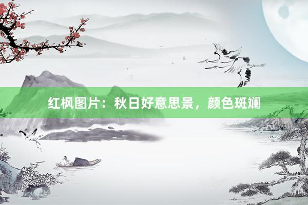 红枫图片：秋日好意思景，颜色斑斓